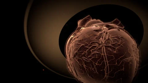 Low Angle Human Heart Distress, 4K ProRes Stock Footage 336363627