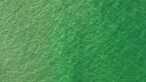 Low Angle image of a beach, with waves and surfers. Stock Footage 81132339