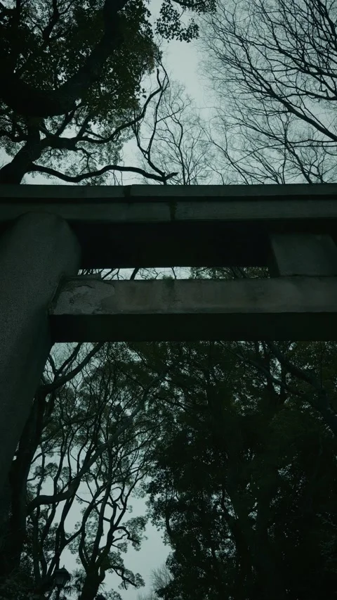Low angle of Japanese stone torii gate and trees in cloudy sky Stockbeeldmateriaal 345897235