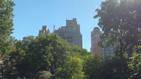 LOW ANGLE: Jet airplane flying over Central Park in New York City on sunny day Stock Footage 72361799