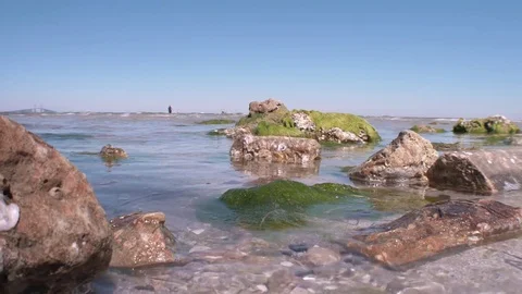 Low Angle of Kite Surfers in Tampa Bay, 4K Stock Footage 70351382