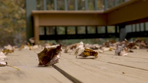 Low angle of leaves blowing around on a deck in the autumn Stock Footage 110903826