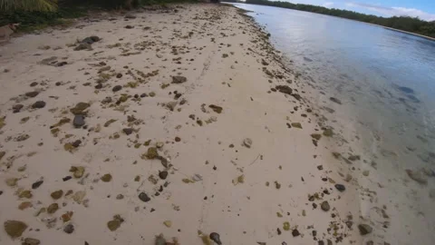 Low angle look down on ground walk view at rocky coral beach with calm ripple wa Stock Footage 253460569