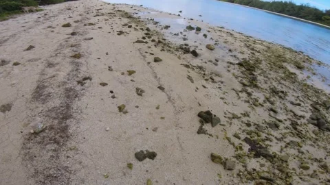 Low angle look down on ground walk view at rocky coral beach with calm ripple wa Stock Footage 253461646