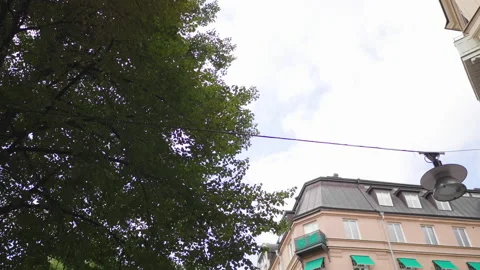 Low angle looking up point of view pov driving on car with panning the sky Video stock 177974024