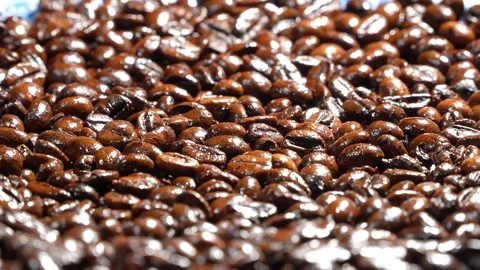 Low Angle Macro Roasted Coffee Beans Depth Of Field 動画素材 331928173