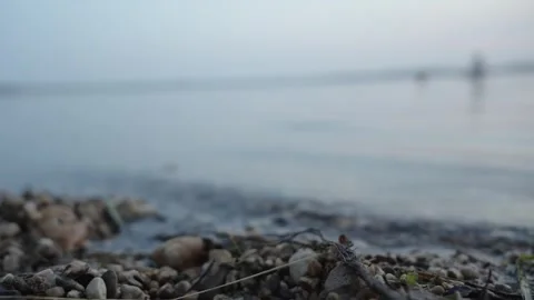 A low-angle macro shot captures small pebbles, stones, and gentle water ripples Stock Footage 342288239