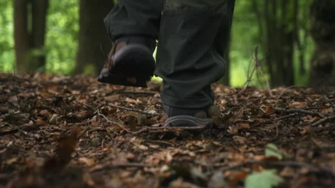 Low angle man hiking across forest floor covered with leaves in deciduous forest 스톡 동영상 339581195