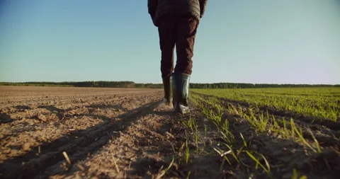 Low angle: man walking in rubber boots in a farmer's field, the blue sky ab.. Stock Footage 266942811
