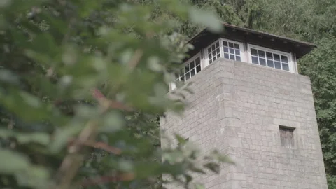Low Angle Medium Shot Watchtower Behind Tree Leaves Flossenburg Concentration Video stock 330174841