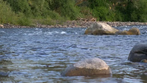 Low angle medium shot Whanganui river in New Zealand Stock Footage 100344702