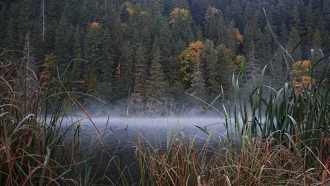 Low angle of misty lake surface in the mountains during a cold autumn day Stock Footage 162303089