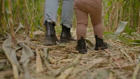 Low angle of mother and daughters feet walking through corn field 库存影片 219405131
