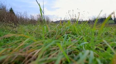 Low angle motion along Ground Stock Footage 60966902