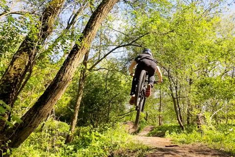 Low Angle Mountain Biker Jumping in Forest – Extreme Sports Adventure Photo Stock Photos