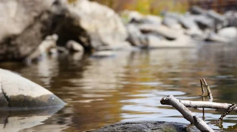 Low Angle of Mountain Stream, 4K Stock Footage 56440515
