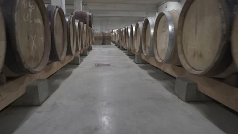 Low angle, moving forward between two rows of wine wooden barrels Video stock 143678545