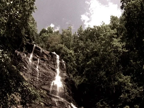 Low angle MS of water cascading over rock framed by green leafy trees. Stock Footage 86750792