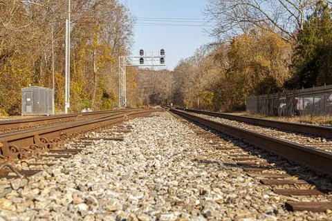 Low angle nostalgic image of two railroad tracks going into the woods. The ru Stock Photos