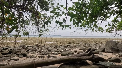 Low-Angle Ocean View from Jungle, Ross and Smith Islands, Andaman Islands Stock Footage 339371690