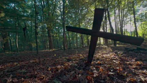 Low angle orbit around a weathered wooden cross in the forest Stock Footage 346256238