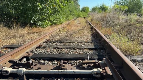 Low Angle Over Rusty Railroad Switch to Overgrown Disused Track Stock Footage 346447423