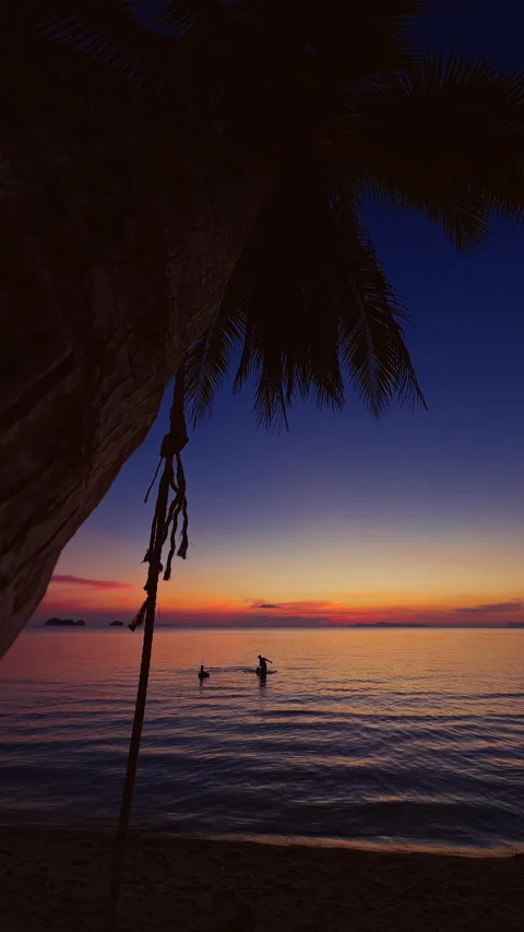 Low Angle Palm Tree Trunk Foreground With Silhouettes of Children Playing in Sha Stock Footage 333632874