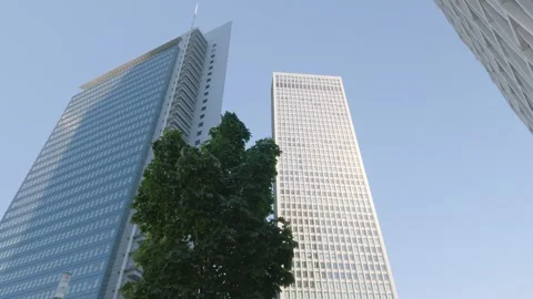 Low angle pan across modern skyscrapers with a tree and blue sky, city footage Stock Footage 342025853