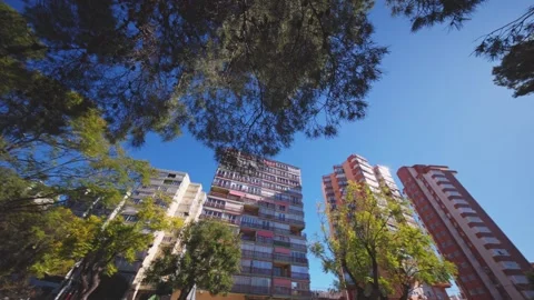 Low Angle Pan of Benidorm City Skyline and Trees Stock Footage 329605638