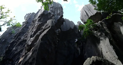 Low angle panning shot of towering karst formations at Shilin Stone Forest Vidéo 329471796
