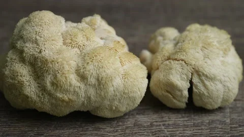 Low angle panning view of Lions Mane mushroom, Hericium Erinaceus, a healthy Video stock 155648032