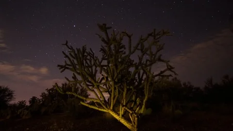 Low-angle panoramic Time-lapse of Stars and clouds in desert Stock Footage 102386938