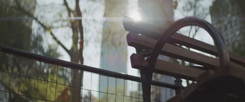 Low Angle of a Park Bench in New York City Stock Footage 208760218