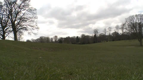 Low angle of a park Stock Footage 25273553