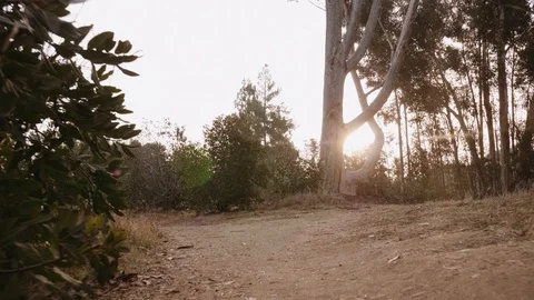 Low Angle Path Walk Kenneth Park Stock Footage 101445911