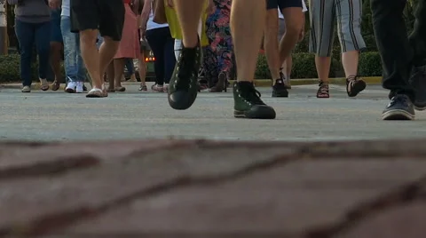 Low Angle Pedestrian Crosswalk Time Lapse Orlando Florida Vídeo Stock 63618180
