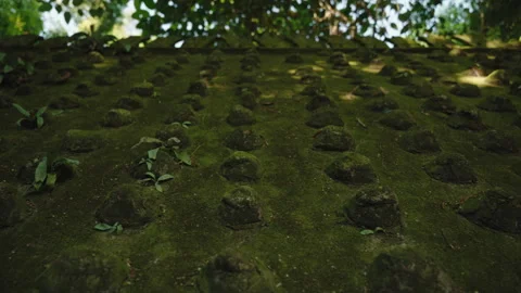 Low Angle Perspective of Mossy Ancient Stone Roof or Wall in Tropical Jungle Stock Footage 327796569