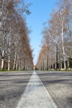 Low angle perspective view of asphalted alley in park Stock Photos