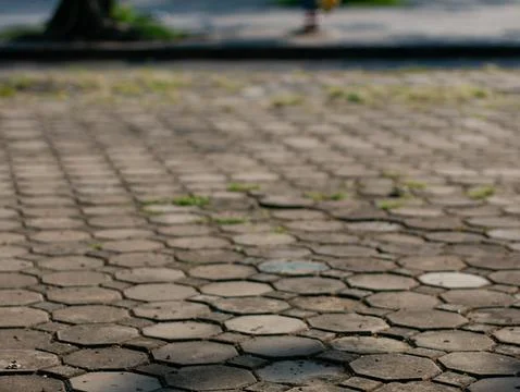 Low angle perspective view of old octagonal cobblestone pavement path with .. 스톡 사진