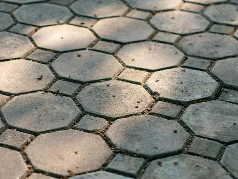Low angle perspective view of old octagonal cobblestone pavement path with .. Foto stock
