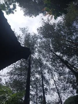 Low angle Stock Photos