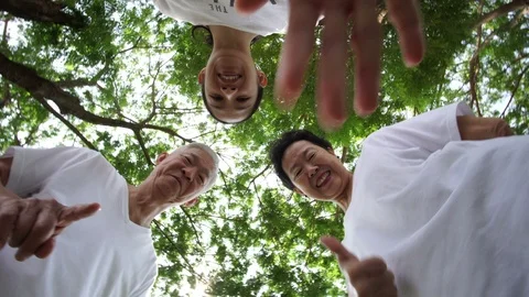 Low angle point of view Asian family play with kid or pet, tree background Stock Footage 88245376