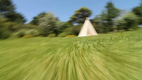 Low angle point of view Frenetic clip of animal perspective in outdoor Stock Footage 71406371