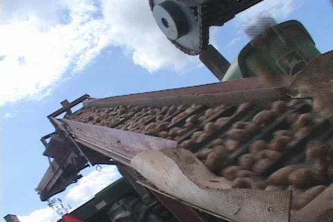 Low Angle of Potatoes on Farming Machinery Agriculture Stock Footage 141006