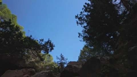 Low angle POV walking through rocky valley and pine trees forest Stock Footage 347867289
