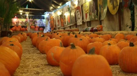 Low Angle Pumpkins 库存影片 12284688