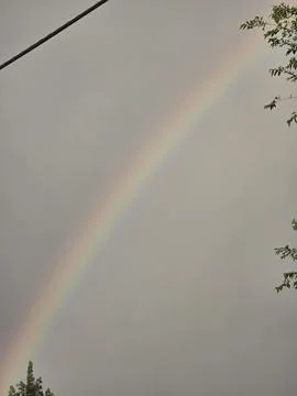 Low angle rainbow sky trees perspective Stock Photos