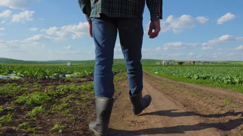 Low-angle rear view of a farmer walking through a cultivated field at sunset. Stock Footage 297950461
