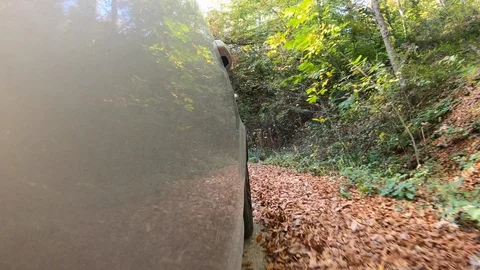 Low angle rearview shot of the car while driving on a forest trail Stock Footage 118546543