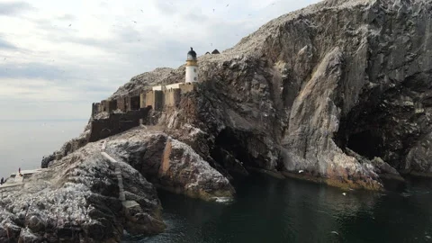Low angle rising close shot of Bass Rock, North Berwick, Scotland, 4K Stock Footage 306994801